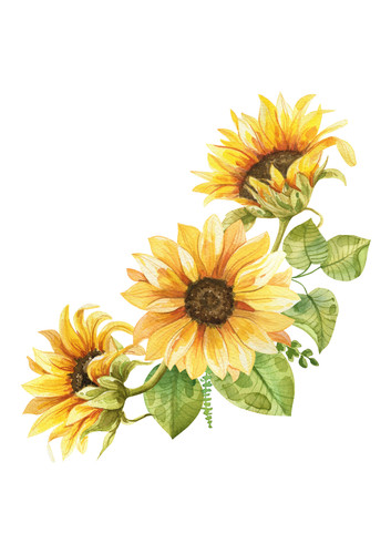 Adesivi auto girasoli sticker - adesivi,