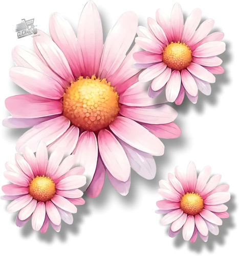 Adesivi vinile rosa chiaro - rosa,