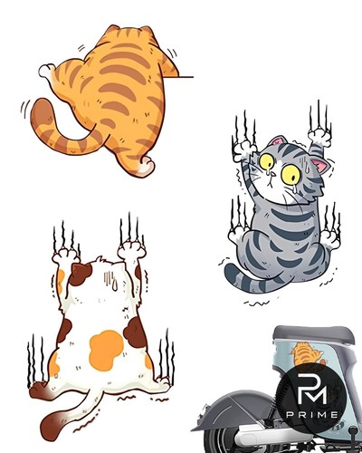 Adesivi auto gatto - adesivi, graffi